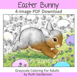 EASTER BUNNY: 4-image PDF Download for Grayscale Adult Coloring