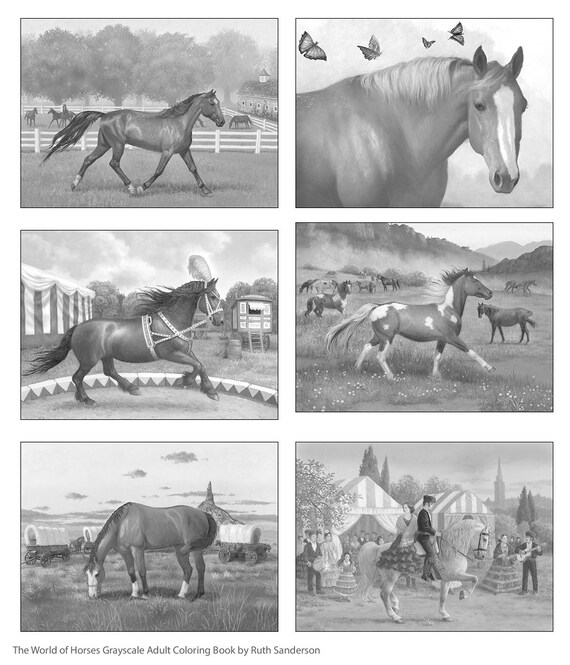 Download The World Of Horses 36 Grayscale Coloring Pages For Adults Etsy