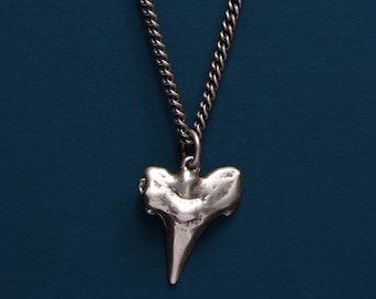 May include: A silver chain necklace with a silver shark tooth pendant. The necklace is on a blue background.