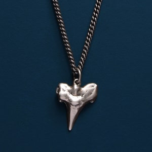 Men&#39;s Necklaces Shark Tooth Necklace Darkened Silver Curb Chain - Jewelry Gifts for Him - Gift ideas for Men, brother, dad, son, best friend