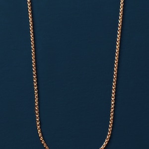 Puede incluir: Un collar de cadena de oro sobre un fondo azul oscuro.