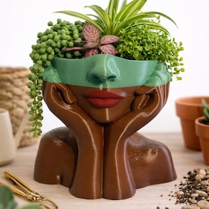 May include: A brown and green face-shaped planter holding various green plants and pink accents. The planter has red lips and is resting on its hands. Gold scissors and small terracotta pots are in the background.