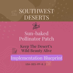 Patch de pollinisateurs cuits au soleil dans le sud-ouest du désert – Feuille de travail sur le jardinage adapté au climat (PDF)