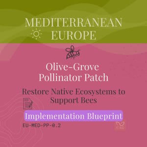 Op de afbeelding: Afbeelding met de tekst "MEDITERRANEAN EUROPE" in wit op een groene en roze achtergrond. De tekst "Olive-Grove Pollinator Patch" en "Restore Native Ecosystems to Support Bees" worden ook weergegeven. De afbeelding bevat een bijengrafiek en de woorden "Implementation Blueprint".