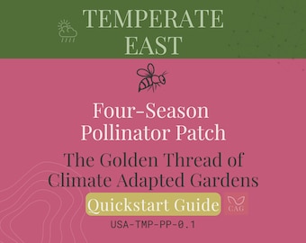 Four‑Season Pollinator Patch for the Temperate East – Climate‑Adapted Garden Guide (PDF)