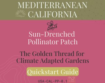 Sun‑Drenched Pollinator Patch for Mediterranean California – Climate‑Adapted Garden Guide (PDF)