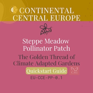 La zona impollinatrice dei prati della steppa per l'Europa centrale continentale – Guida al giardino adattato al clima (PDF)