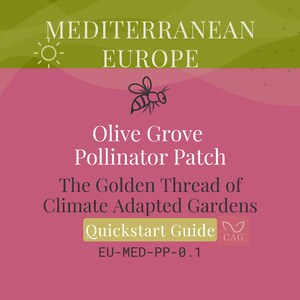 Olive Grove Pollinator Patch for Mediterranean Europe – Climate‑Adapted Garden Guide (PDF)