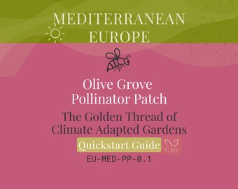 Olive Grove Pollinator Patch for Mediterranean Europe – Climate‑Adapted Garden Guide (PDF)