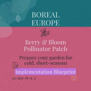 Könnte beinhalten: Grafik mit dem Text "BOREAL EUROPE" und "Berry & Bloom Pollinator Patch". Es enthält auch den Text "Bereiten Sie Ihren Garten auf kalte, kurze Jahreszeiten vor" und "Implementation Blueprint".