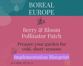 Berry Bloom Pollinator Patch for Boreal Europe -  beginner-friendly, Climate-Adapted Garden implementation DIY (PDF)