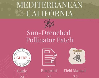 Sun‑Drenched Pollinator Patch for Mediterranean California - Bundle Offer Guide, Blueprint & Field Manual