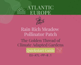 Rain‑Rich Meadow Pollinator Patch for Atlantic West Europe – Climate‑Adapted Garden Guide (PDF)