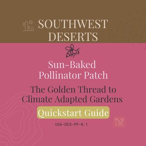 Sun‑Baked Pollinator Patch for the Southwest Deserts – Climate‑Adapted Garden Guide (PDF)