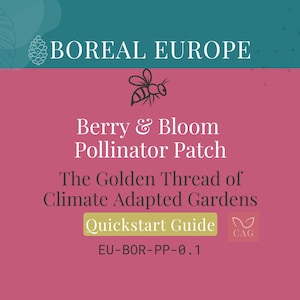 Berry & Bloom Pollinator Patch for Boreal Northern Europe – Climate-Adapted Garden Guide (PDF)