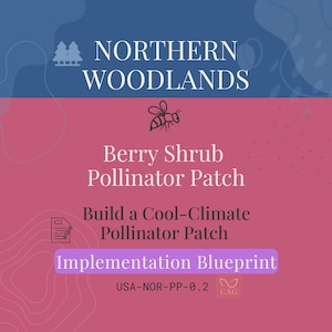Berry Shrub Pollinator Patch for Northern Woodlands – Climate‑Adapted Gardening Worksheet (PDF)