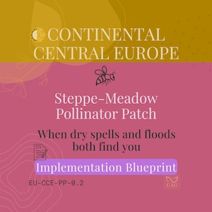 Può includere: Grafica con testo che recita "CONTINENTAL CENTRAL EUROPE" e "Steppe-Meadow Pollinator Patch". È presente anche il testo "When dry spells and floods both find you". Le parole "Implementation Blueprint" sono evidenziate.