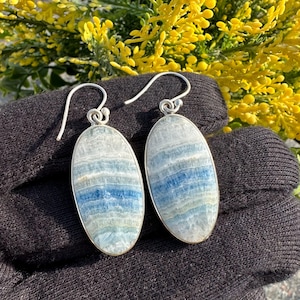 May include: A pair of oval-shaped earrings with a silver-colored metal frame. The earrings feature a blue and white striped pattern. The earrings are hanging on a silver hook. Yellow flowers are in the background.