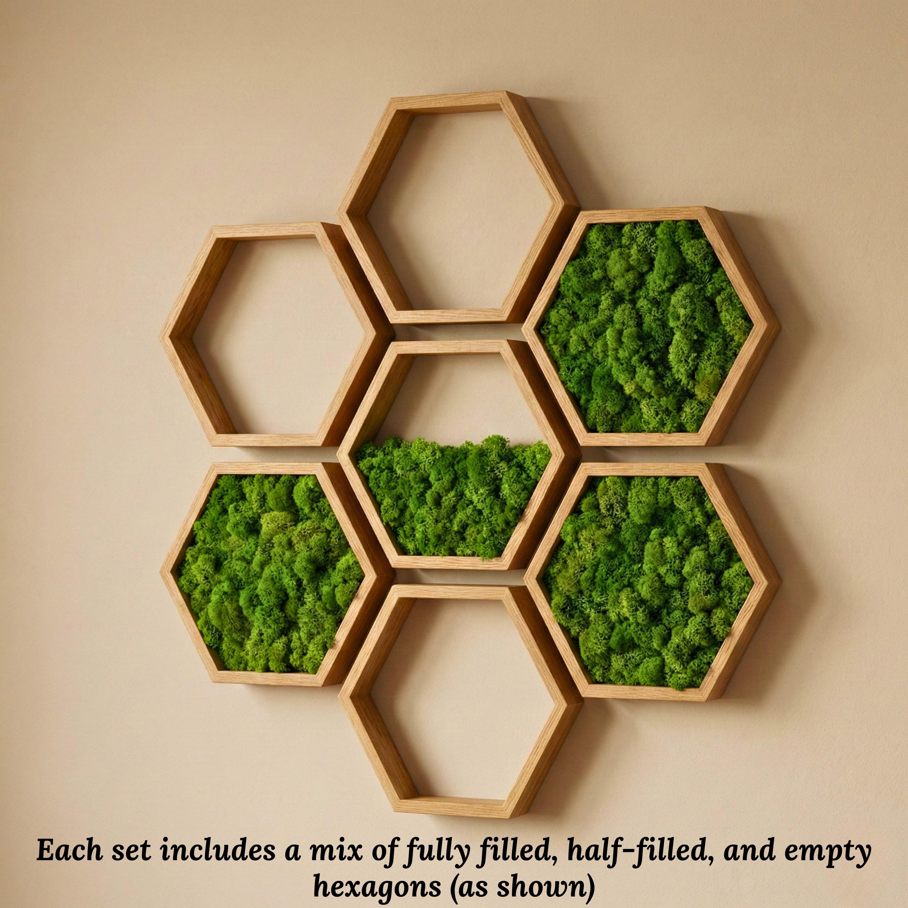 Hexagon Moss Wall Art Handmade 3D Wood Home Decor Sculpture - Etsy