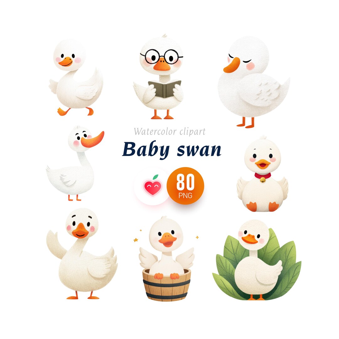 Watercolor Baby Swan Clipart Bundle, Graceful Bird PNG, Nursery Decor ...