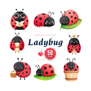 May include: Watercolor clipart featuring several cartoon ladybugs with red and black spotted shells. Some ladybugs are holding objects, wearing glasses, or sitting on leaves. The text "Ladybug" and "50 PNG" are also present.