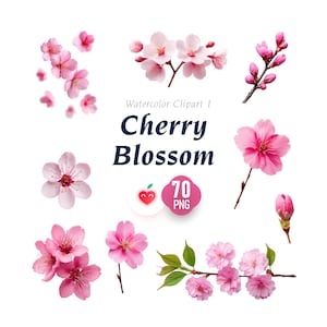 May include: Watercolor clipart featuring various pink cherry blossom illustrations. The image includes individual flowers, sprigs, and buds, along with the text "Cherry Blossom" and a graphic with "70 PNG".