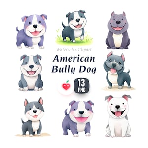 Puede incluir: Clipart de acuarela con nueve ilustraciones de perros American Bully sonriendo en varias poses y colores, incluyendo azul, gris y blanco. La imagen incluye el texto "American Bully Dog" y un gráfico que indica 13 archivos PNG.