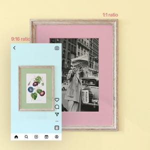 May include: A framed black and white photograph of a person holding a newspaper titled Social Justice in front of their face, set against a pink mat. A smaller digital overlay shows a botanical illustration of morning glory flowers.