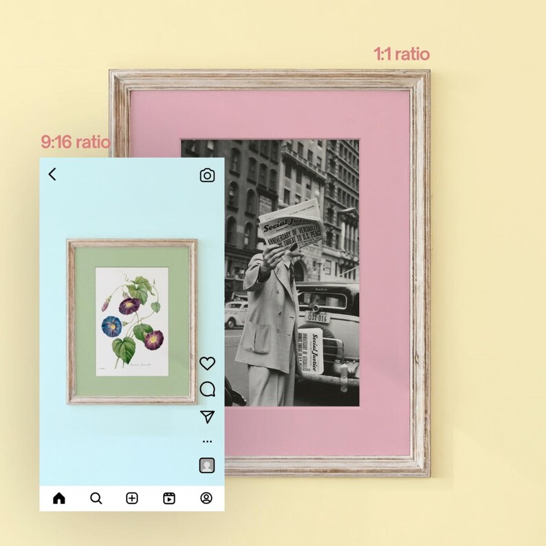 May include: A framed black and white photograph of a person holding a newspaper titled Social Justice in front of their face, set against a pink mat. A smaller digital overlay shows a botanical illustration of morning glory flowers.