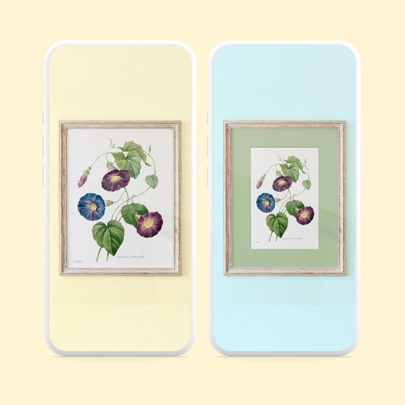 May include: Two digital displays showing a botanical illustration of morning glory flowers in a wooden frame. The artwork features purple and blue blossoms with green leaves on a white background. One display has a pale yellow border, the other a light blue border with a green mat.