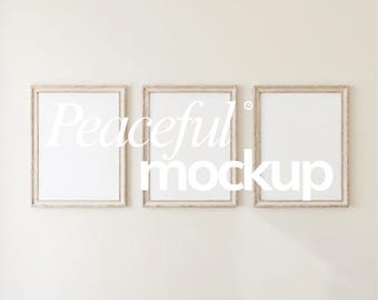 Set Of 3 Frame Mock Ups: Rustic Wooden Frame, Antique, Vintage, 3x4 Ratio (PSD & JPG)