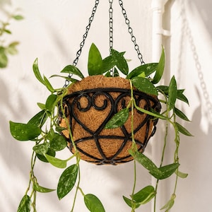 Hanging Basket Planter with Coco Liner | Round Iron Scroll Plant Holder | Farmhouse Cottagecore Flower Pot | Porch Patio Garden Decor