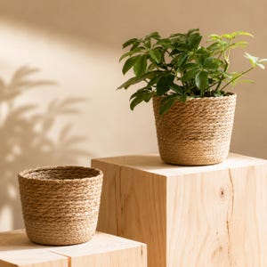 May include: Two cylindrical plant pots crafted from natural tan jute rope coiled in a continuous spiral pattern. One pot is empty, while the other contains a lush green Schefflera plant with multiple glossy, palm-shaped leaves extending outward.