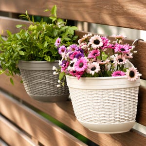 May include: Two semi-circular hanging planters with a woven texture. One planter is light gray and holds a green leafy plant, while the other is white and contains a vibrant arrangement of pink, purple, and white daisy-like flowers.