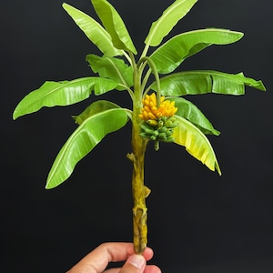 Puede incluir: Un banano en miniatura con hojas verdes brillantes y un racimo de plátanos amarillos. El tronco del árbol es marrón texturizado y las hojas tienen un aspecto brillante. El árbol se sostiene sobre un fondo negro.