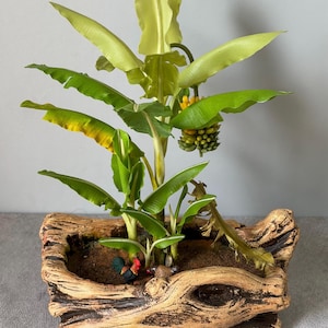 May include: A decorative artificial banana plant in a rustic, wood-look planter. The plant features large green leaves, a small bunch of bananas, and a small rooster figurine. The planter is rectangular and has a natural, weathered appearance.