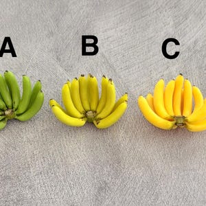 Könnte beinhalten: Drei Miniatur-Bananenbüschel mit den Bezeichnungen A, B und C. Büschel A ist grün, Büschel B ist hellgelb und Büschel C ist leuchtend gelb. Jedes Büschel besteht aus mehreren kleinen, gebogenen bananenförmigen Objekten mit dunkelbraunen Spitzen.