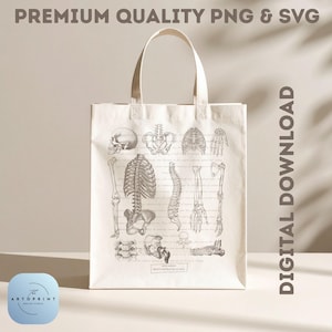 Vintage Anatomy Skeleton Illustration – Dark Academia Medical Art (SVG, PNG Digital Download)