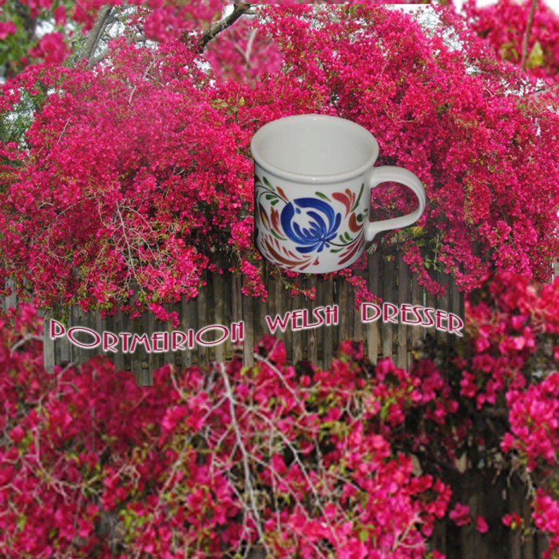 Portmeirion Welsh Dresser Mug Image 0