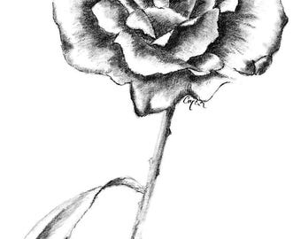 Tattoo design of a black rose