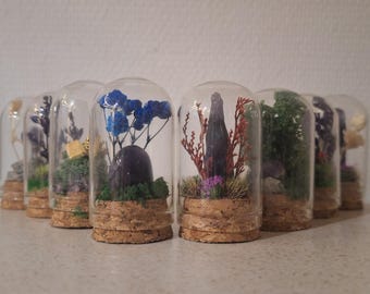 Terrario miniatura de cristal con forma de campana y flores secas naturales para decorar el hogar, la oficina o el dormitorio. Hecho a mano. Un regalo único.