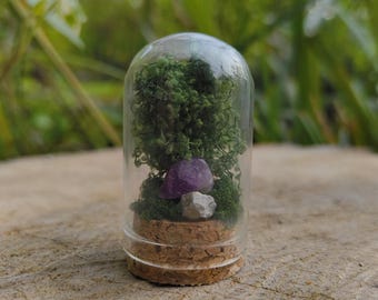 Miniaturowe drzewo ze szklaną kopułą, zakonserwowany mech, naturalny ametyst, mikro bonsai, terrarium, ręcznie robione, miniaturowe, prezent, wyjątkowa natura zen