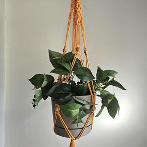 Peut inclure: Un porte-plante suspendu en macramé de couleur orange chaud, suspendu à un anneau en bois. Le support contient un pot gris rempli d'un feuillage vert luxuriant. Des perles en bois ornent le design, et une gland pend en bas.