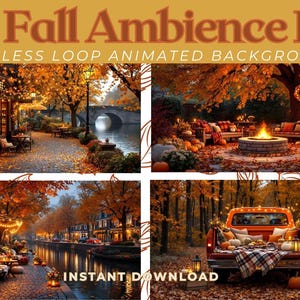 Vídeos en bucle con ambiente otoñal / Acogedoras escenas de otoño 1080 Full HD (Descarga digital)