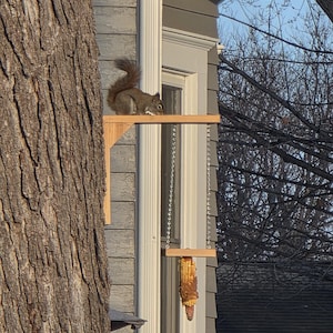 Squirrel Feeder Plans, Easy DIY Woodworking Project, Kids Project (PDF)
