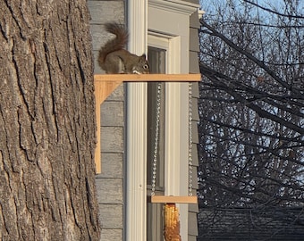 Squirrel Feeder Plans, Easy DIY Woodworking Project, Kids Project (PDF)