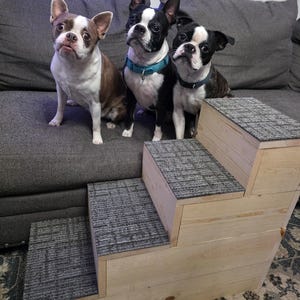 Puede incluir: Tres Boston Terriers sentados en un sofá gris junto a un escalón de madera para mascotas. Los perros tienen marcas en blanco y negro, con un perro con marcas en marrón y blanco. El escalón para mascotas tiene tres escalones con alfombra gris.