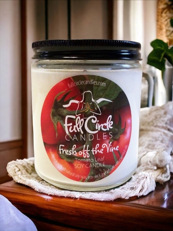 Tomato Leaf Scented Soy Candle | Fresh Off The Vine | Garden Scented Candle | Full Circle Candles