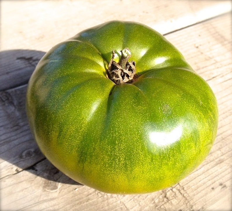 SALE Cherokee Green Beefsteak Heirloom Tomato Gourmet Excellent Sweet
