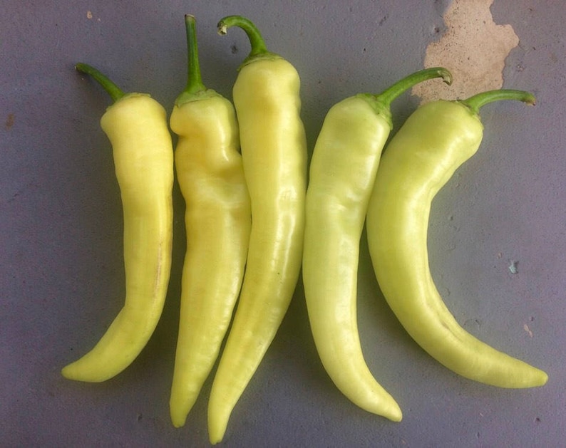 Sweet Banana Pepper Rare Seeds Grown to Organic Standards SALE